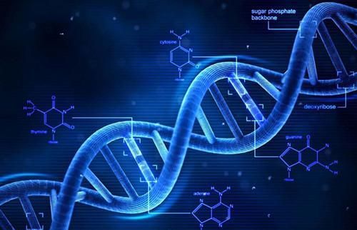 克隆技術(shù) 從喧囂到沉寂，科學(xué)家的解答揭示深層原因