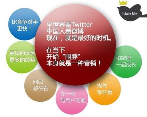 菜鳥(niǎo)時(shí)代 互聯(lián)網(wǎng)世界中的網(wǎng)絡(luò)品牌營(yíng)銷(xiāo)與銷(xiāo)售新解